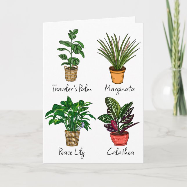 Hand Drawn House Plants | Happy Birthday  Card (Front)