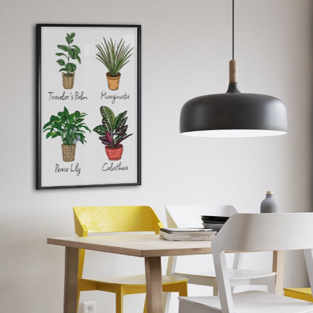 Hand Drawn House Plants Wall Art (Creator Uploaded)