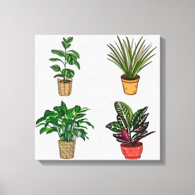 Hand drawn Houseplant Art Canvas   (Front)