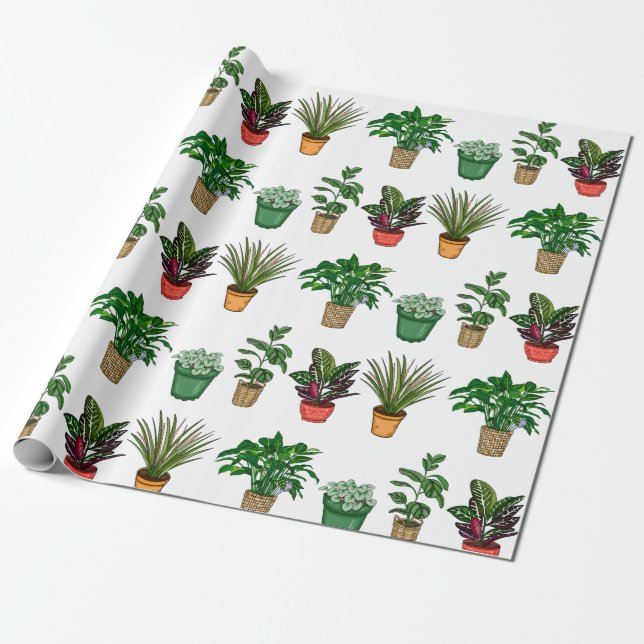 Hand Drawn Houseplants Birthday   Wrapping Paper (Unrolled)