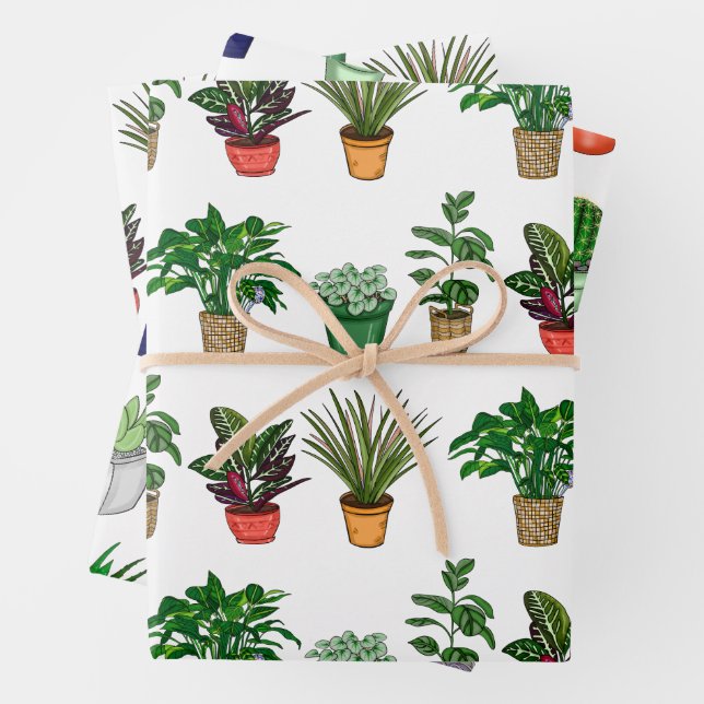 Hand Drawn Houseplants Birthday Wrapping Paper Sheets (In situ)