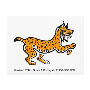 Hand drawn Iberian LYNX- Conservation - Ecology -  Postcard