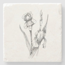 Hand Drawn Iris, Fine Art Image, Original Art