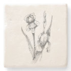 Hand Drawn Iris, Fine Art Image, Original Art