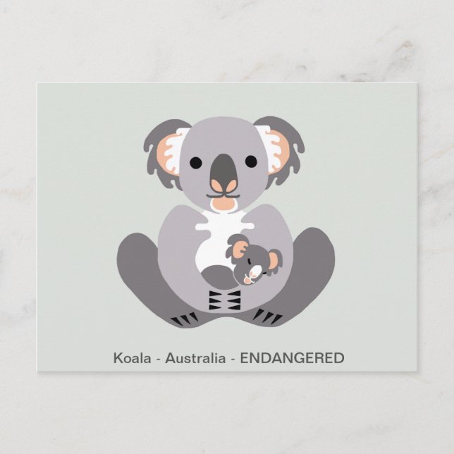 Hand drawn - KOALA - Marsupial - Endangered animal Postcard (Front)