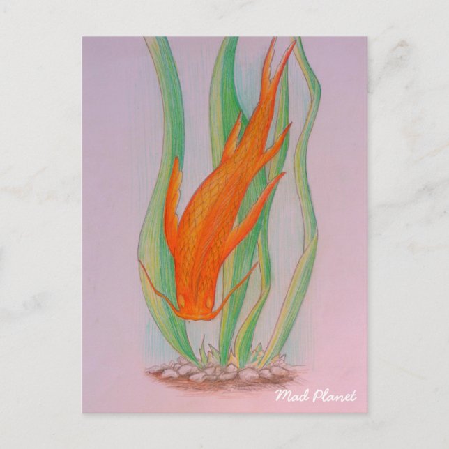 Hand Drawn Koi Carp Postcard (Front)
