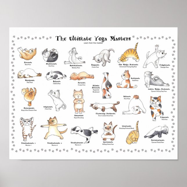 Hand-drawn lovable  yogi cats poster (Front)
