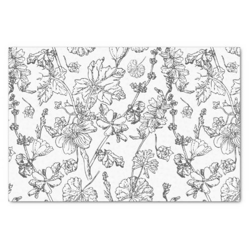 Hand Drawn Mallow Medicinal Cosmetic Wildflower Ti Tissue Paper