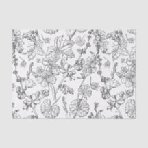 Hand Drawn Mallow Medicinal Cosmetic Wildflower Ti