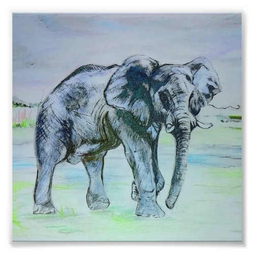 Hand drawn mixed media Elephant drawing Photo Print