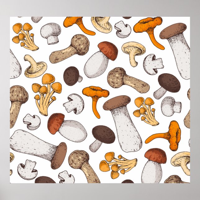 Hand-drawn mushrooms: food background. poster (Front)