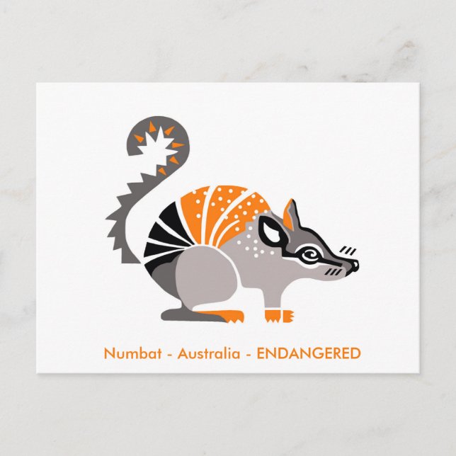 Hand drawn - NUMBAT - Marsupial - Australia Postcard (Front)