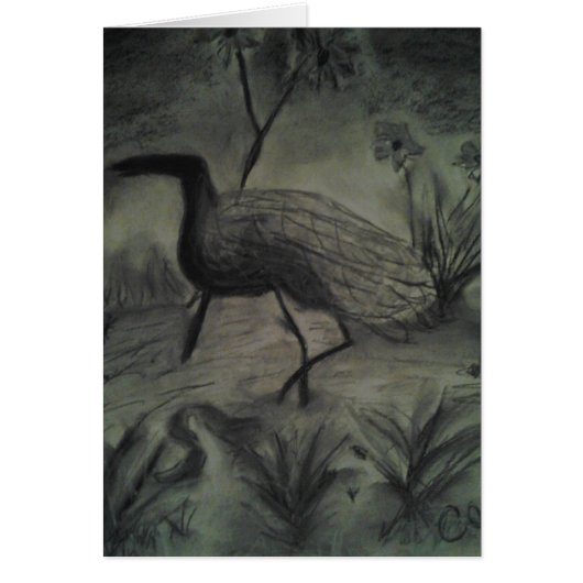 Hand Drawn Pictures For All Occasions (Front)