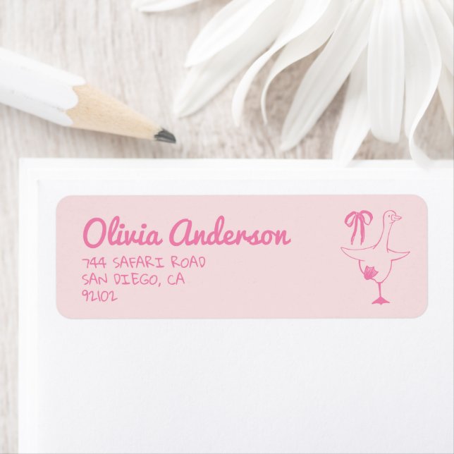 Hand Drawn Pink Silly Goose Bow Baby Girl Shower Label (Insitu)