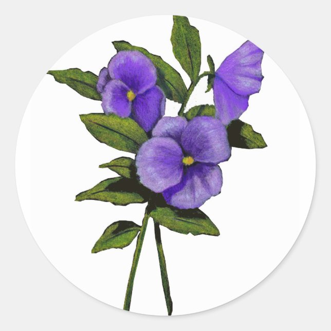 Hand Drawn Purple Pansies On White Classic Round Sticker (Front)