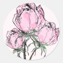 Hand Drawn Roses