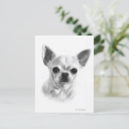 Hand Drawn Short Haired Chihuahua  Postcard