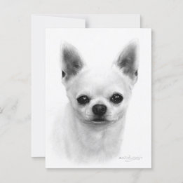 Hand Drawn Short Haired Chihuahua - Realistic Dog  Postcard