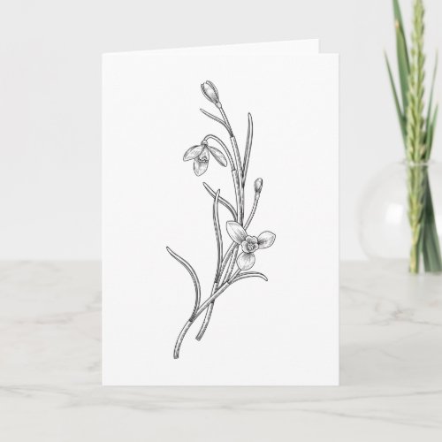 Hand Drawn Snowdrop Flower Folded Greeting Card