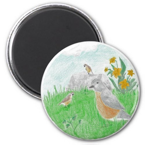 Hand_drawn Springtime Daffodils Robins Magnet