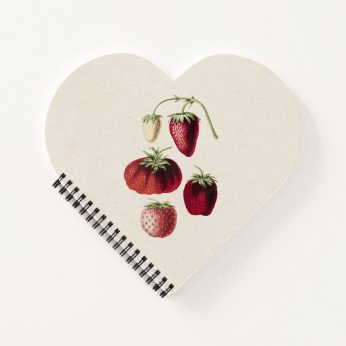 Hand Drawn Strawberries Notebook