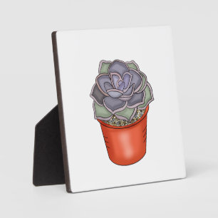 Hand drawn Succulent Plaque