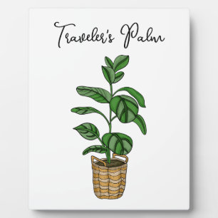 Hand drawn Traveler's Palm Plaque