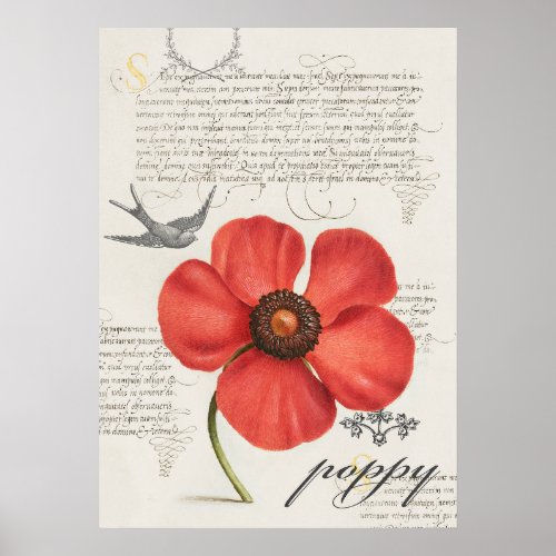 Hand_Drawn Vintage Red Poppy and Swallow_Tail Kite Poster