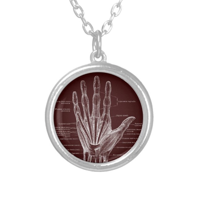 Hand fingers muscles - anatomy silver plated necklace (Front)