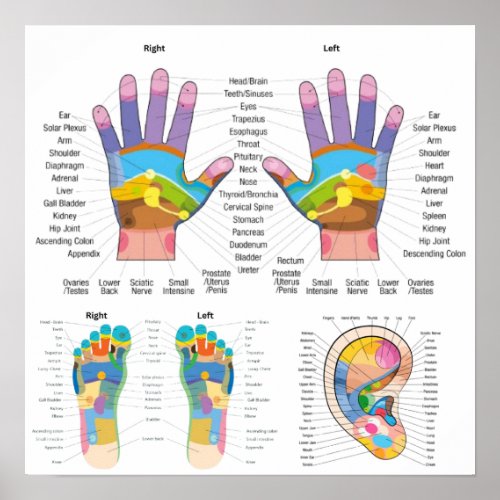 Hand Foot Ear Reflexology Chart Poster
