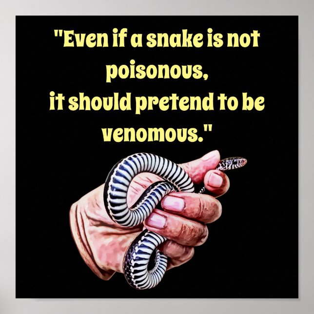 hand holding baby snake quote reptile animals art poster (Front)