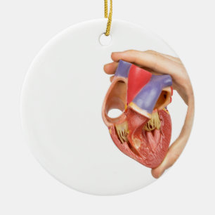 Hand holding model open human heart on white.jpg ceramic ornament