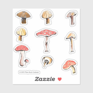 Hand-Illustrated Mushrooms Whimsical Woodland Sticker