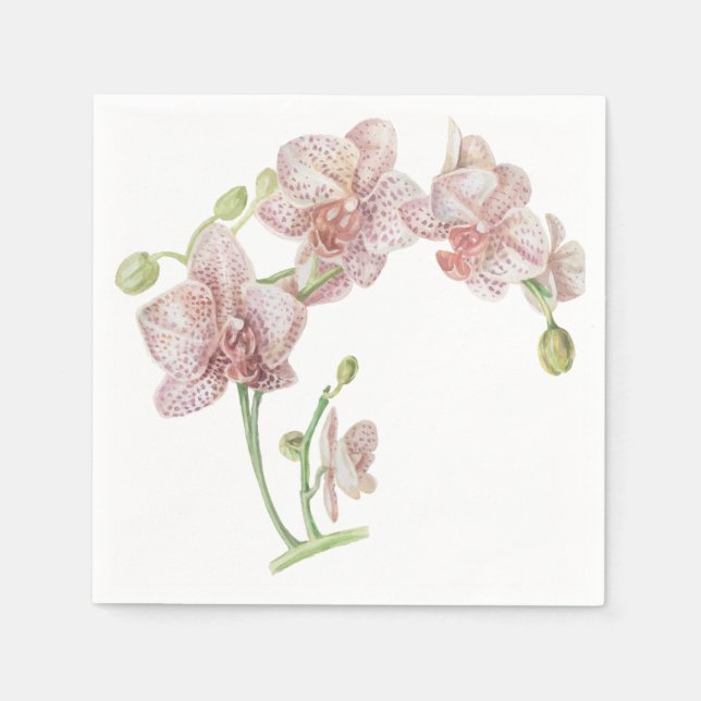 Hand Illustrated Orchid Napkins (Front)