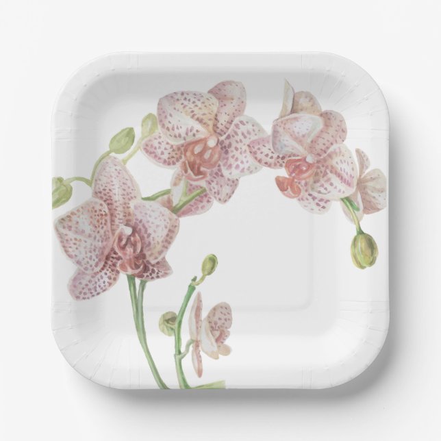 Hand Illustrated Orchid Paper Plates (Front)