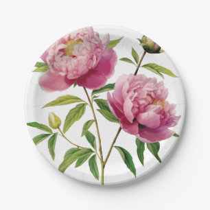 Hand Illustrated Pretty Pink Peonies Price Cut Paper Plates