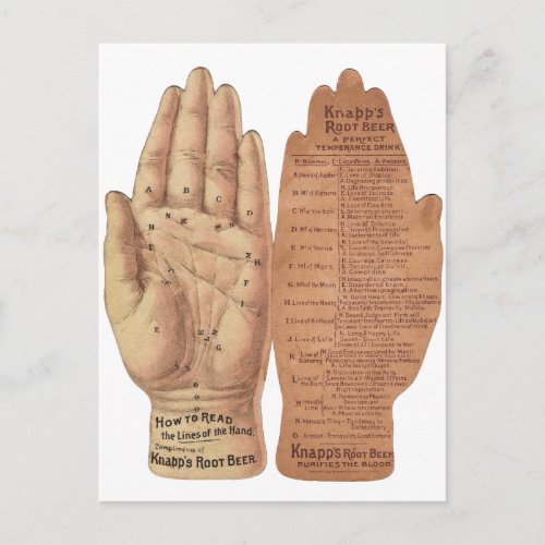 Hand Lines Palm reading Palmistry vintage graphic Postcard