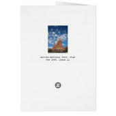 Hand of Hills Cards (Back)