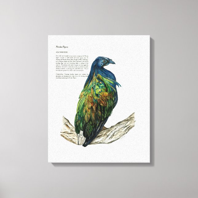 Hand Painted Bird Print on Canvas (Front)