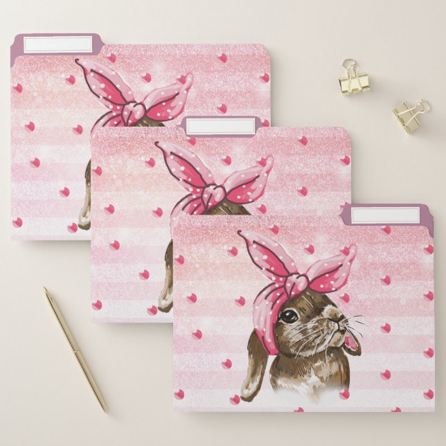 Hand painted Bunny pink File Folder (Set)