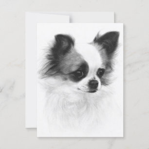 Hand Painted Chihuahua Artwork Postcard