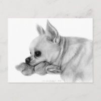 Hand Painted Chihuahua Blanche With Favorite Toy