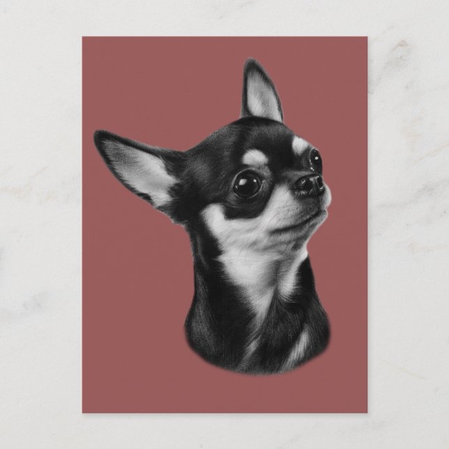 Hand painted chihuahua by pet portrait artist  postcard (Front)