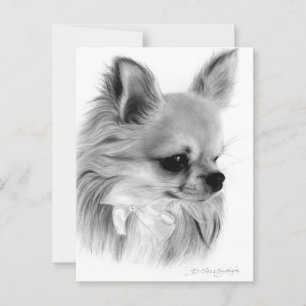 Hand Painted Chihuahua With Bow Artwork Postcard