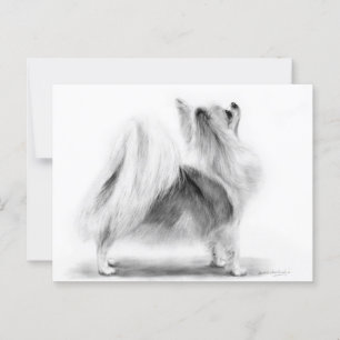 Hand Painted Elegant Long Haired Chihuahua Postcard