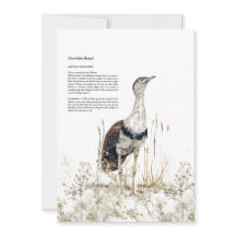 Hand-Painted Endangered Great Indian Bustard