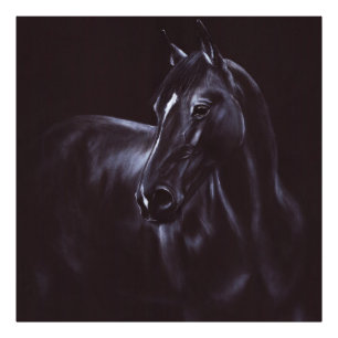 Hand-painted Equine art Photo Print