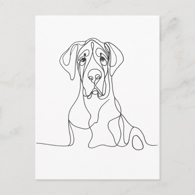Hand Painted Great Dane Line Sketch Postcard (Front)