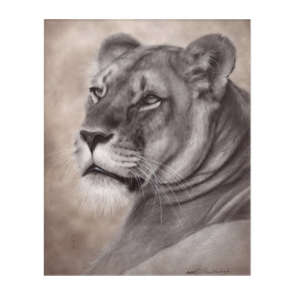 Hand Painted Lioness Artwork Acrylic Print