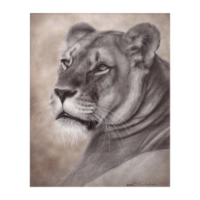 Hand Painted Lioness Artwork Acrylic Print (Front)